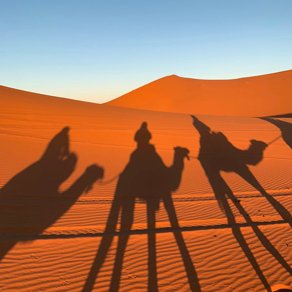 sahara-desert-adventure