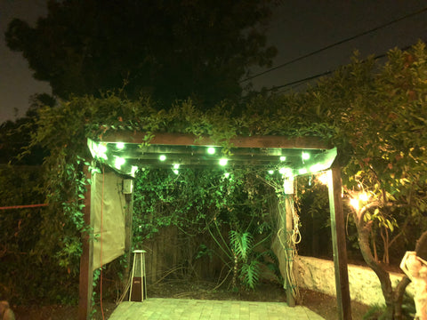 solar lights