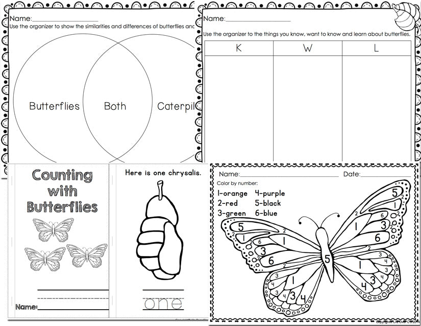 Butterfly Life Cycle Worksheet 2