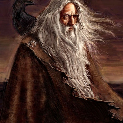Oldman in ragged cloak with raven on his shoulder. Provenance unclear,listed as free to use and share--Viking Dragon Blogs
