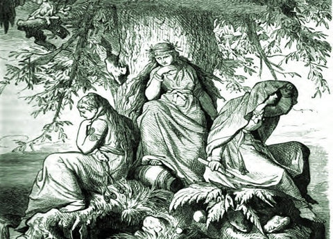 The Norns under the great tree Yggdrasil - The Viking Dragon Blogs