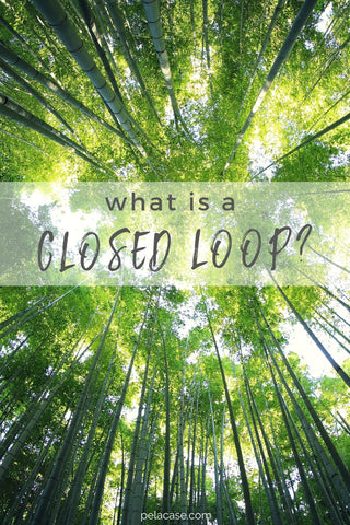 What is a closed loop system? What is a circular economy? from pelacase.com