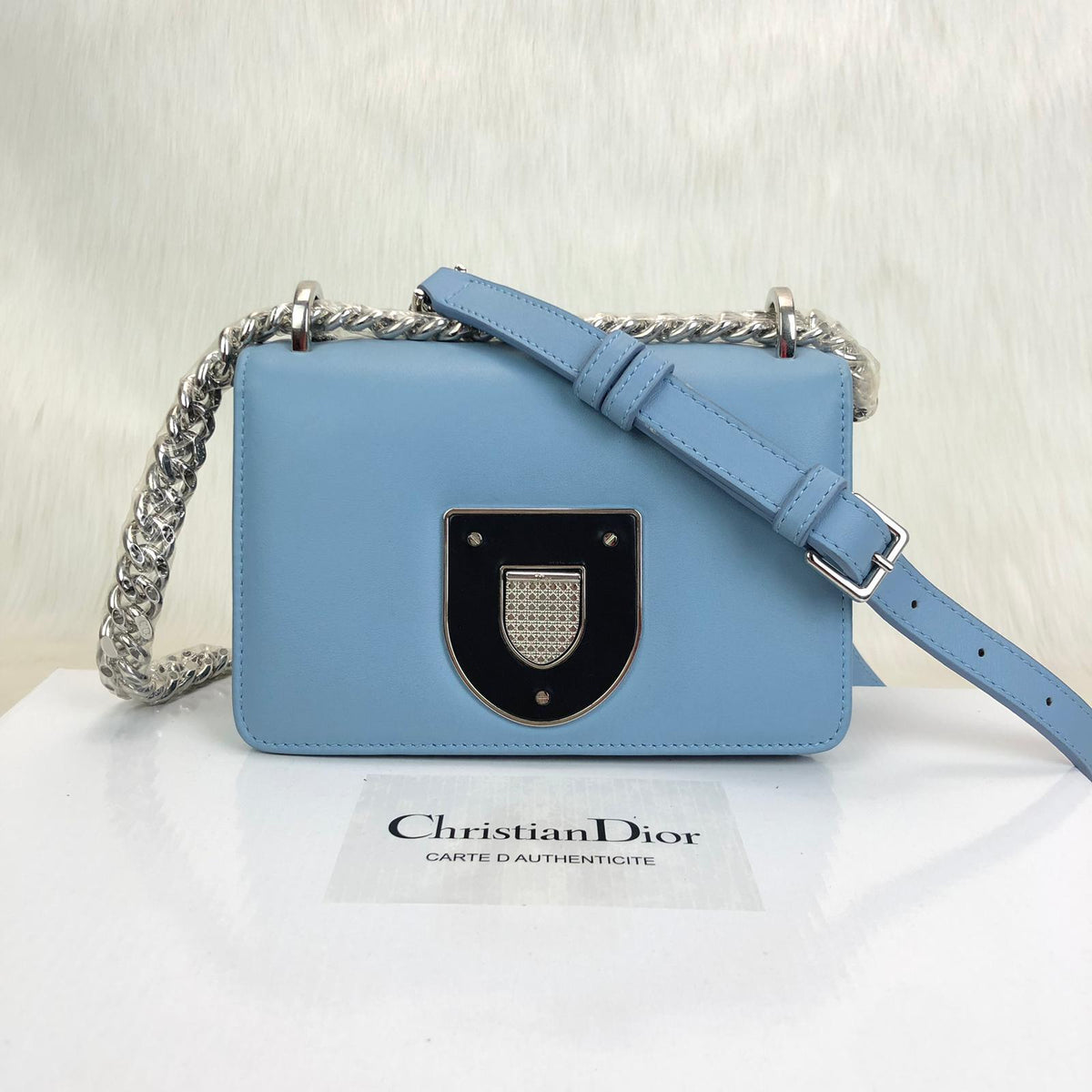 Christian Dior Diorama Club Flap Bag 
