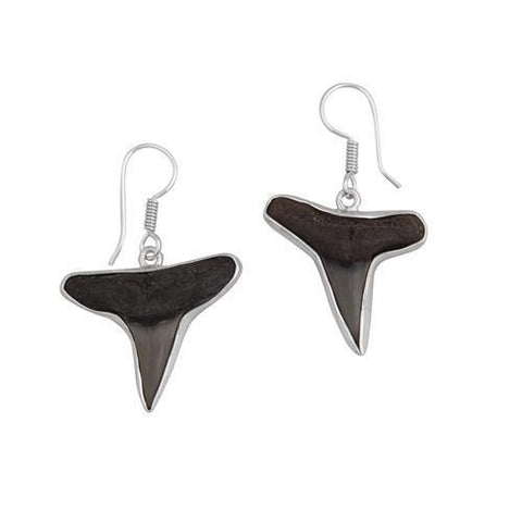 Black shark tooth earrings