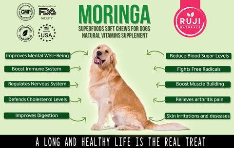 Moringa For Dogs
