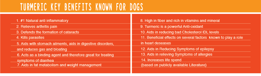 tumeric benefits for dogs