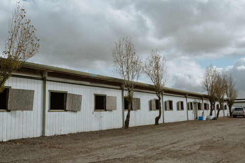 Horse boarding Livermore, CA Stalls