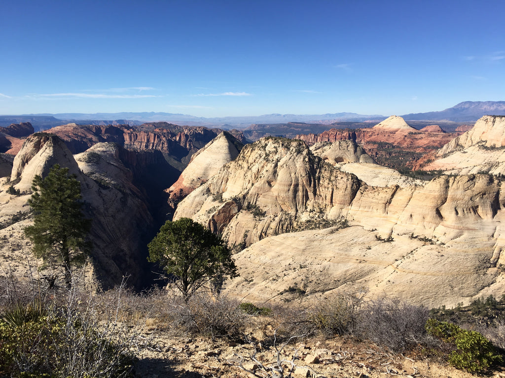 West Rim Trail