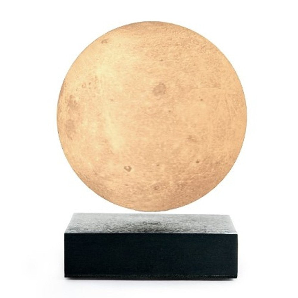 gingko design moon lamp