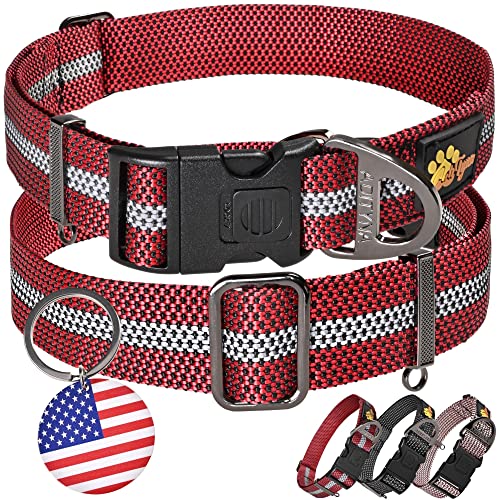 are buckle dog collars safe