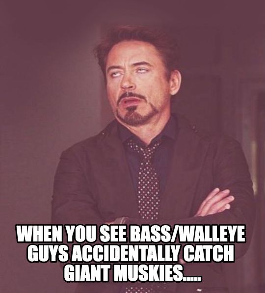 Funny Fishing Meme