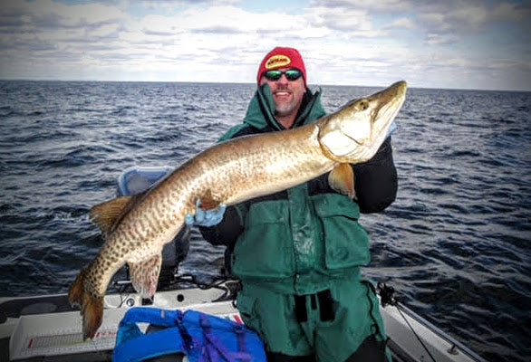 Humpback Musky