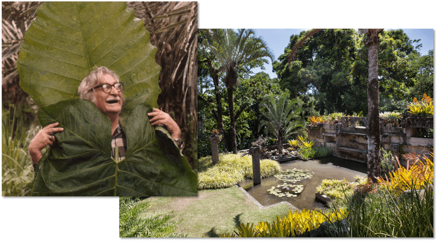 roberto burle marx and one of his gardens