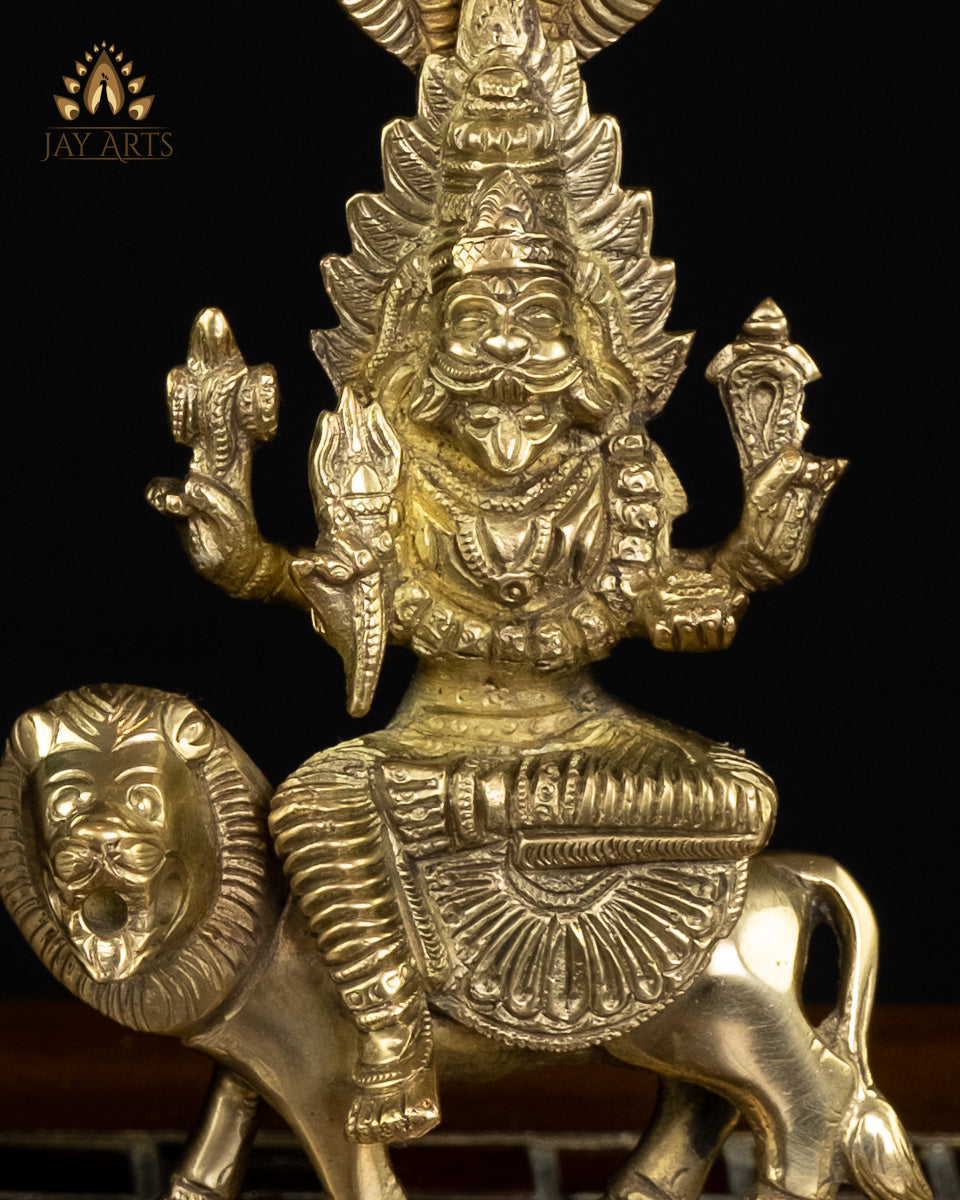 Goddess Pratyangira Devi (Atharvana Bhadrakali) 7