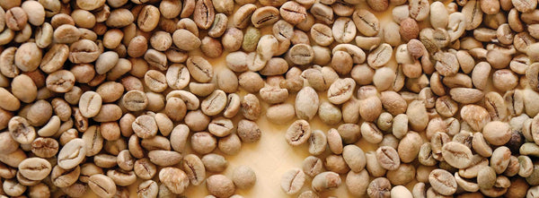 white coffee beans