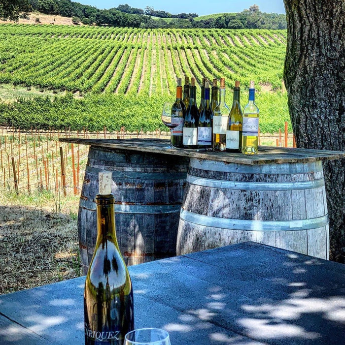 Cecilia Enriquez Walks the Walk and Makes Her Dream Come True With Enriquez Estate Wines