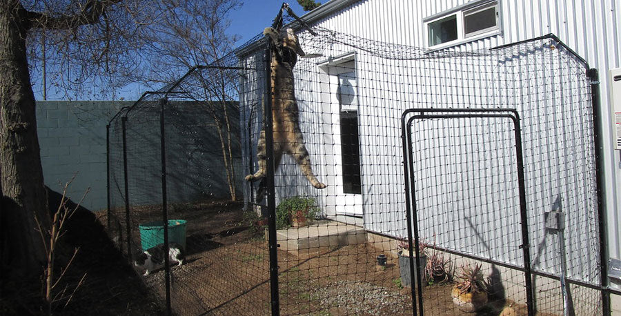new outdoor cat enclosure from the ground up
