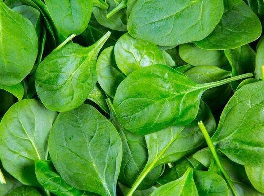 Spinach - x 1 pkt