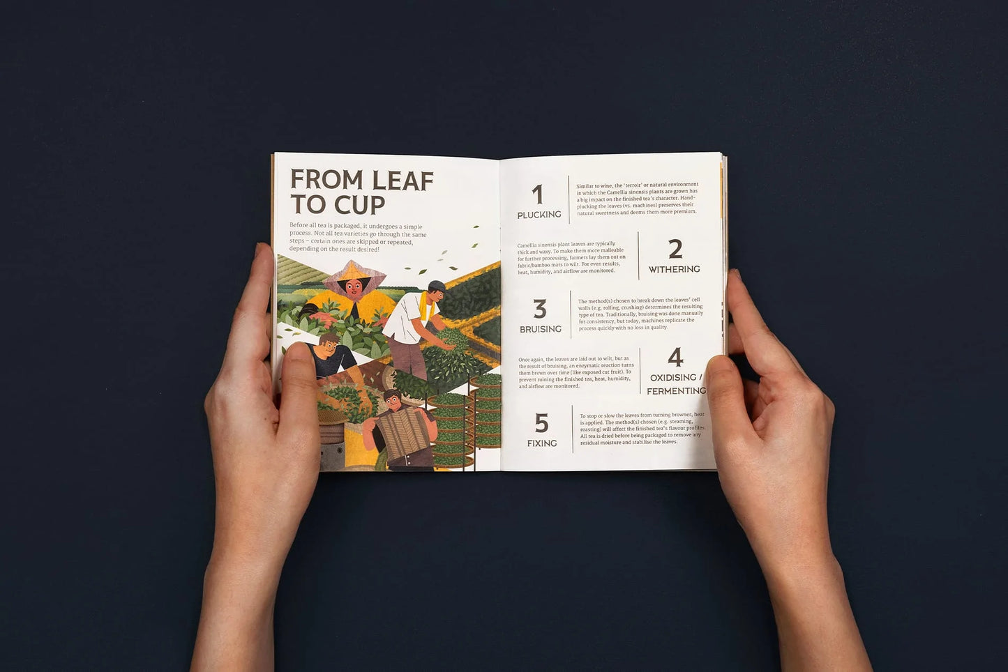 Packaged for Life: Coffee & Tea
