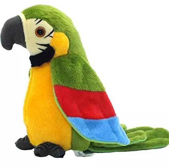 pappagallo parlante giocattolo