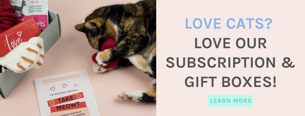 join gus and bella subscription box 