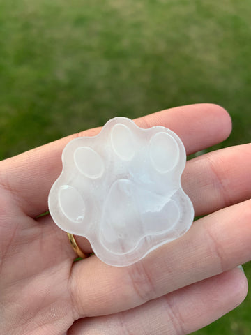 Paw shaped ice cube