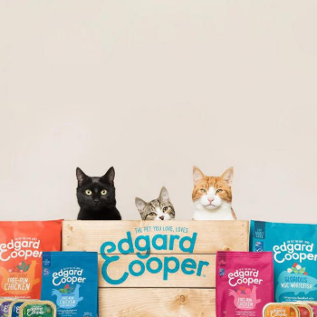 Edgard and Cooper food with cats