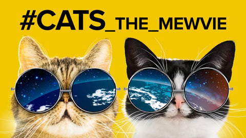 Cats the mewvie front cover 