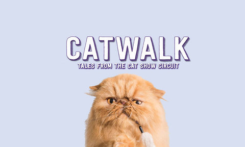 cat walk front cover - netflix 
