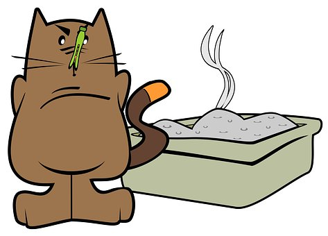 illustration of a cat with a litter tray 