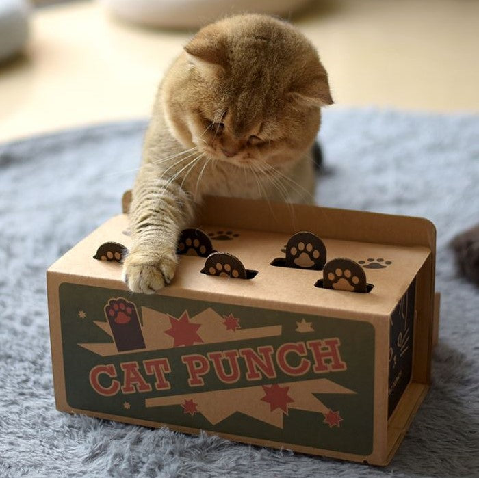 toys for bored indoor cats
