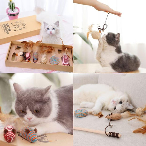 cat traditional teaser toy