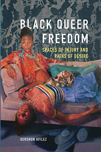 Black Queer Freedom: Spaces of Injury and Paths of Desire - New Black Studies Series