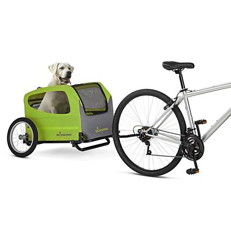 dog riding in a pet carrier behind a bike