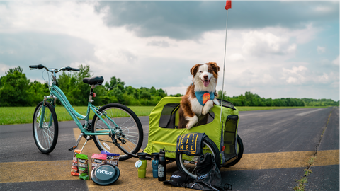 dog sitting in dog carrier attached to bike and surrounded by giveaway items