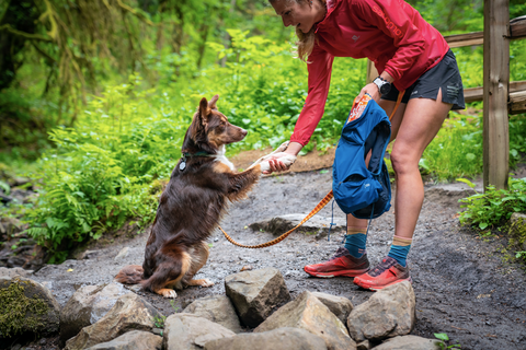 Dog earning a treat on the trail 