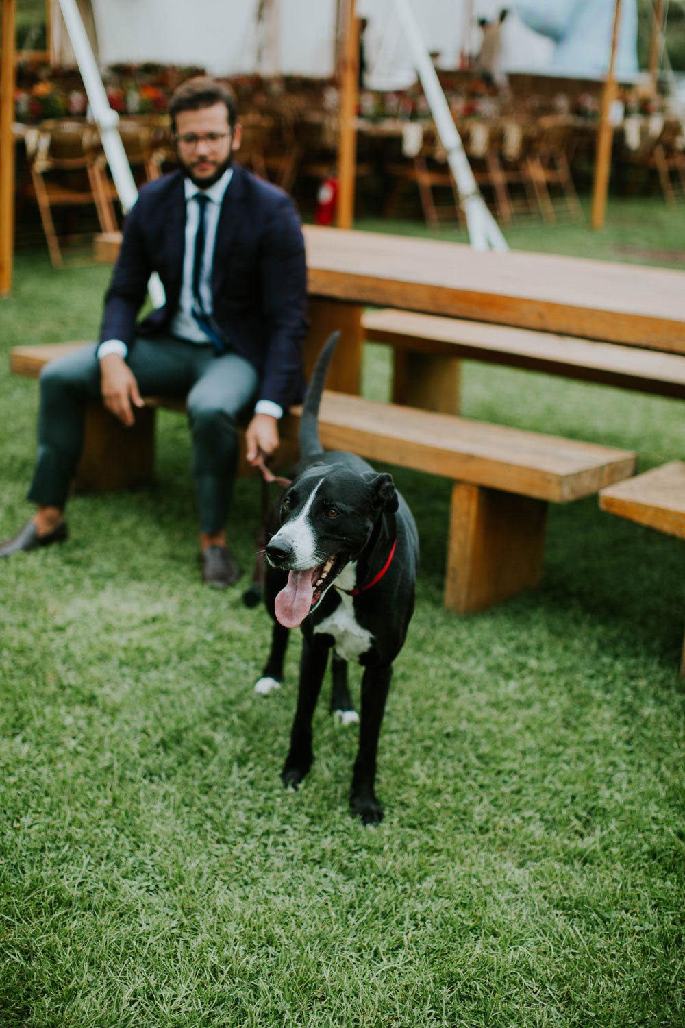 Michelle & Jed is a letterpress wedding suite set in Kennebunkport, ME. Would you like to be featured on #PPRealBride? Email us your photos to hello@pickettspress.com to be featured on our page! Shop here for more Pickett's Press wedding suites!