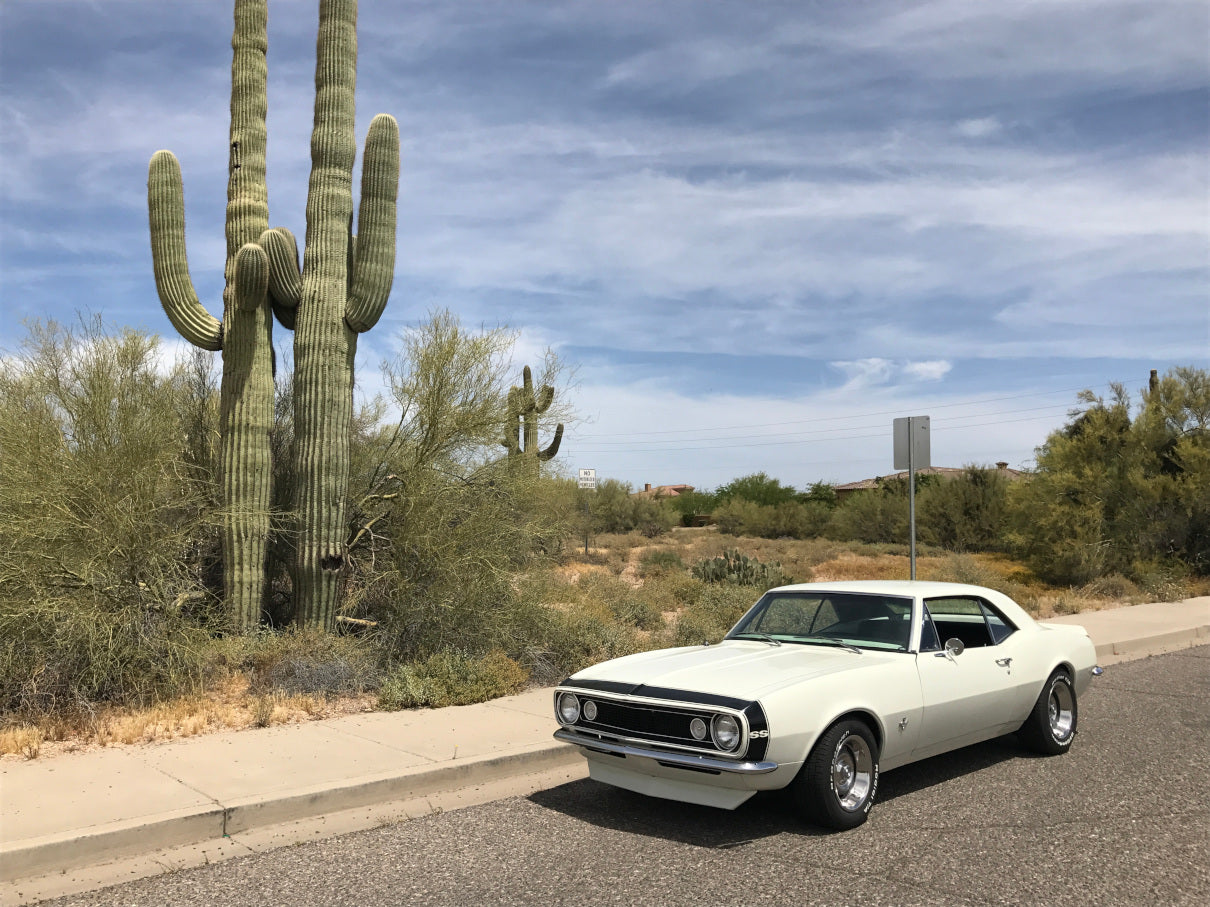 1967 Camaro Saguaro