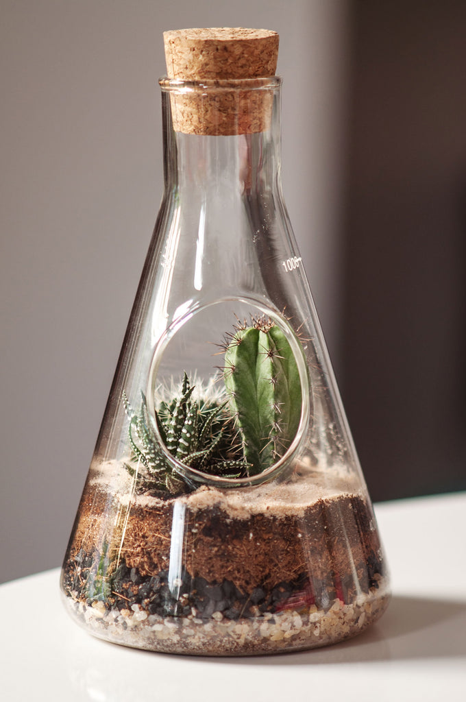 chemistry terrarium kit