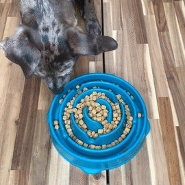 Large Dog Topper Two Week Supply (65+ Lbs)