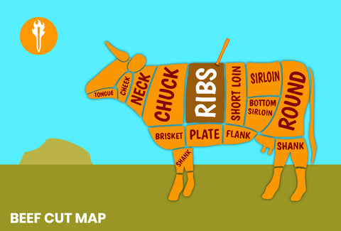 Beef Meat Cut Map