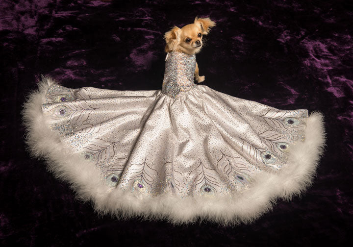 ball gowns for dogs