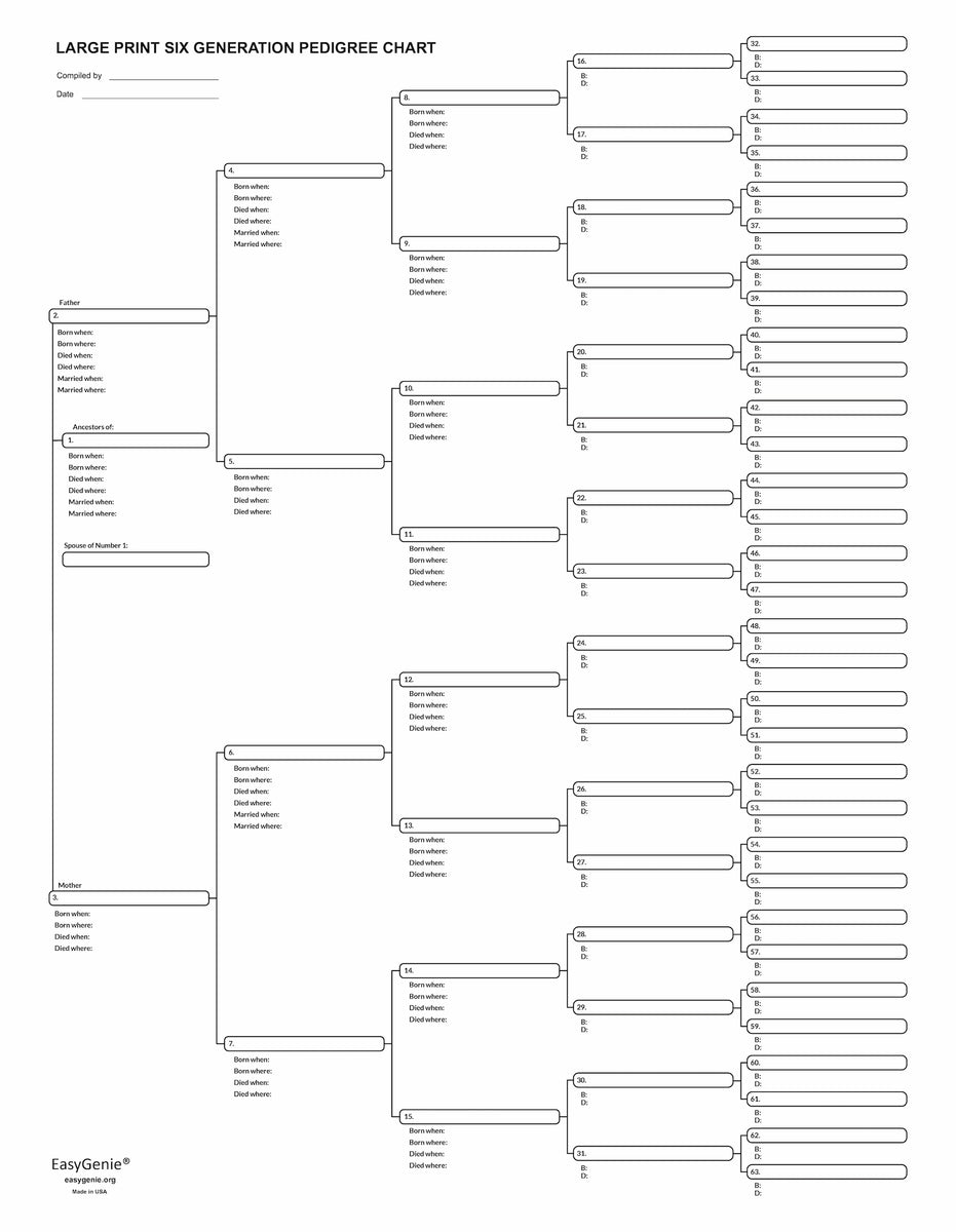 ten-large-print-6-generation-pedigree-charts-for-ancestry-easygenie