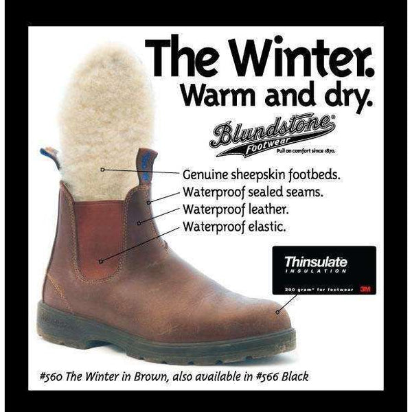 Blundstone Sheepskin Footbeds – Gear Up 