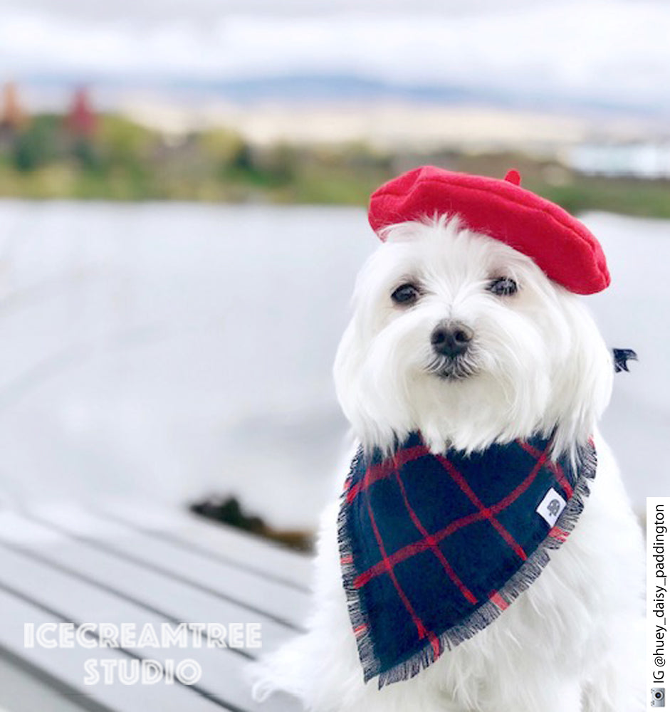 Black Beret Hat - Pet Petite Hat 