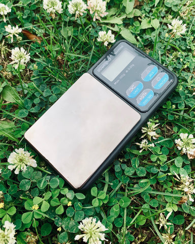 The Truweigh Marine Washdown pocket scale is laying in grass with some small white flowers surrounding it.