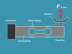 How Digital Scales Work - The Truweigh Blog Strain Gauge Load Cell Diving Board Spring Technology