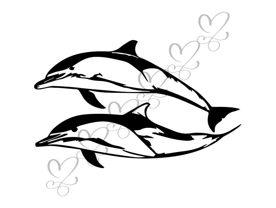 Dolphin Mammal Fish Happy Mascot Underwater Nature Ocean Wildlife Svg Designsbyaymara