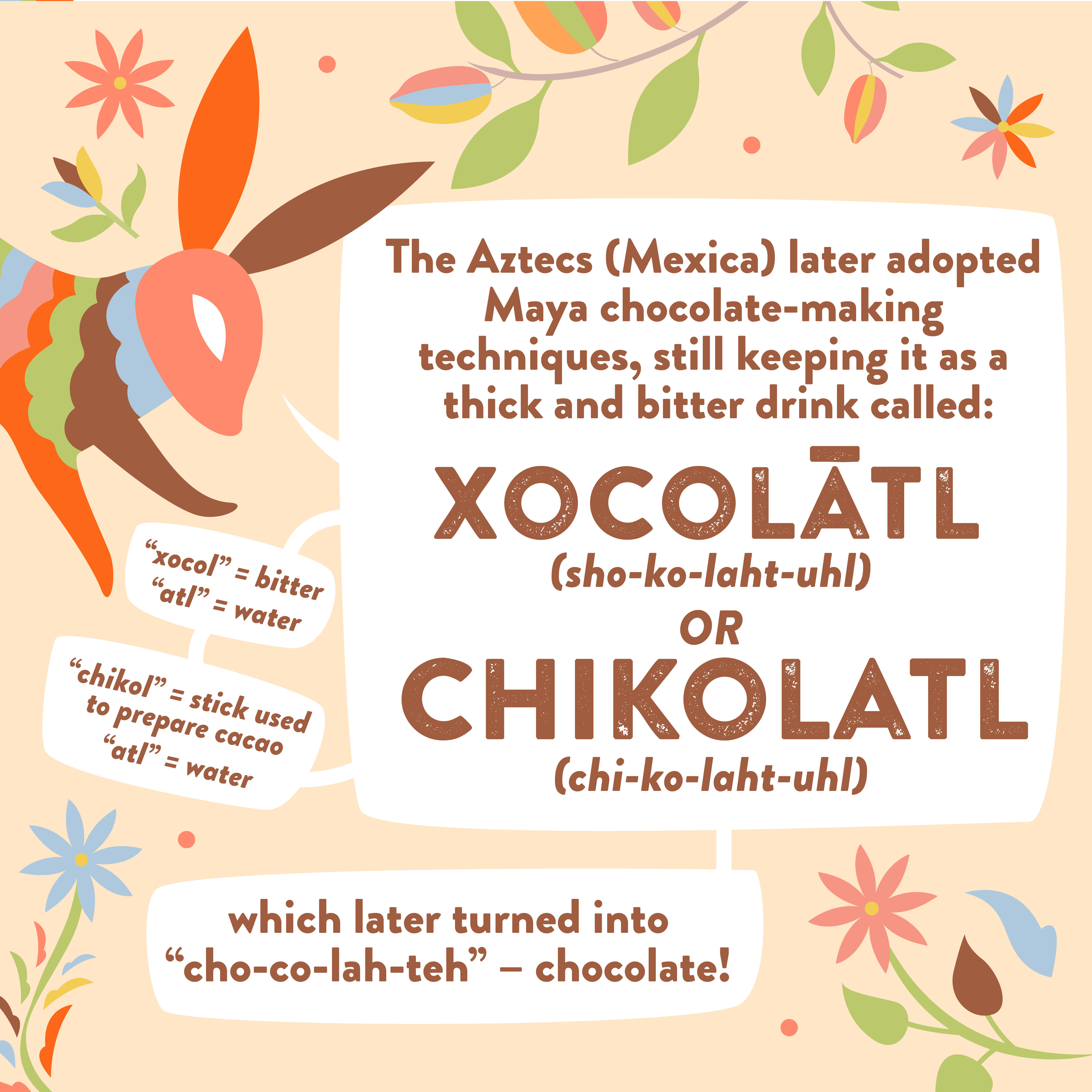The history of chocolate, where does chocolate come from?