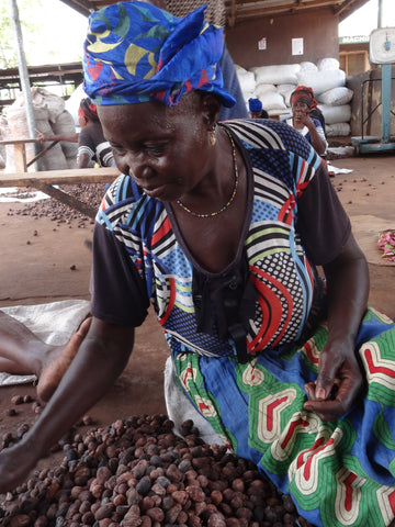 Shea queen sorting nuts for unrefined shea butter processing in Ghana